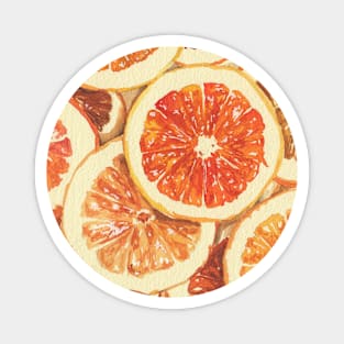 Orange Slice Watercolor Magnet